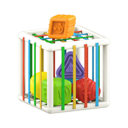 Kids Sensory Toys