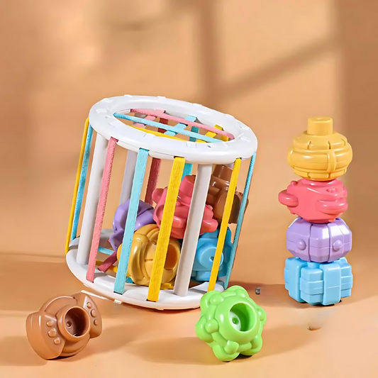 Kids Sensory Toys